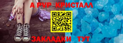 СК Бийск