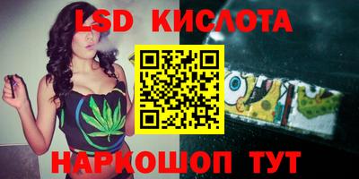СК Бийск