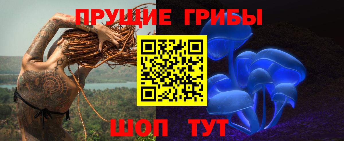 Галлюциногенные грибы Cubensis  Галлюциногенные грибы Cubensis  Вход с VPN  Касимов 